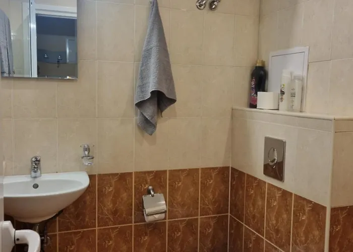 студио 3 布尔加斯